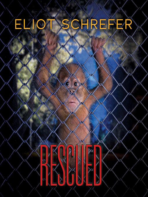 Cover image for Rescued